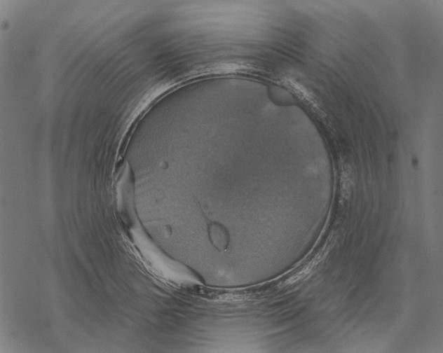 X0000068841178200605261633