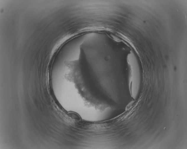 X0000068841179200605261633