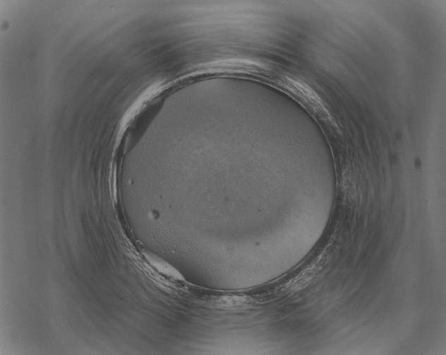 X0000068841180200605261633