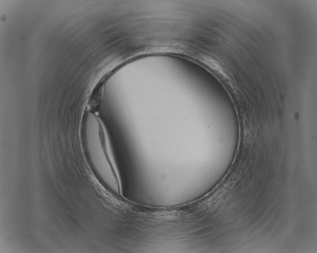 X0000068841181200605261633