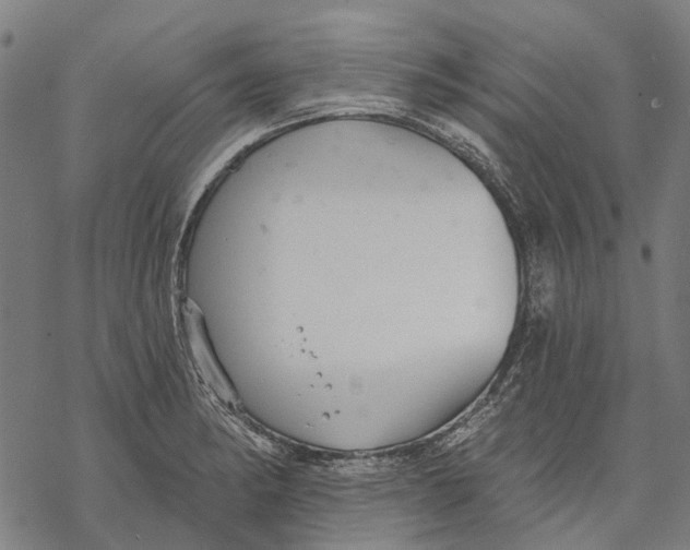 X0000068841182200605261633