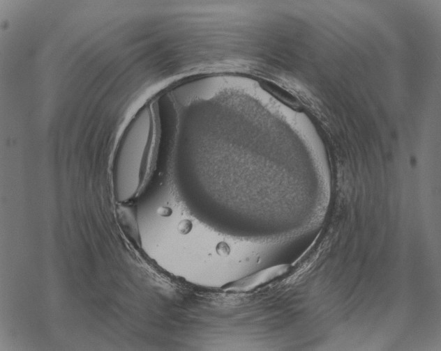 X0000068841184200605261633