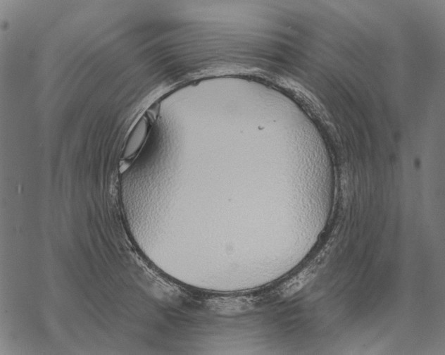 X0000068841185200605261633