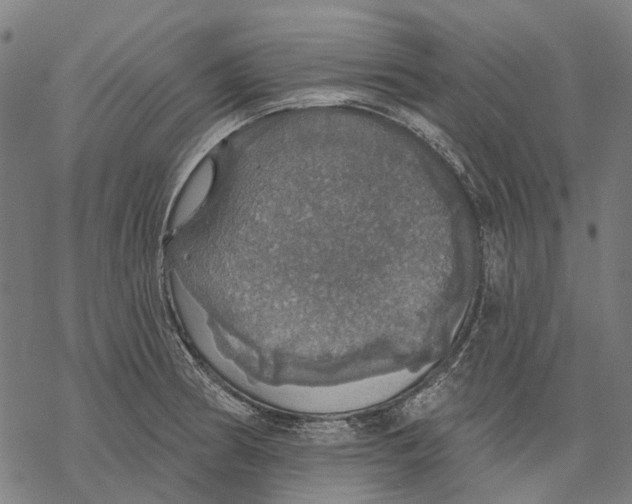 X0000068841186200605261633