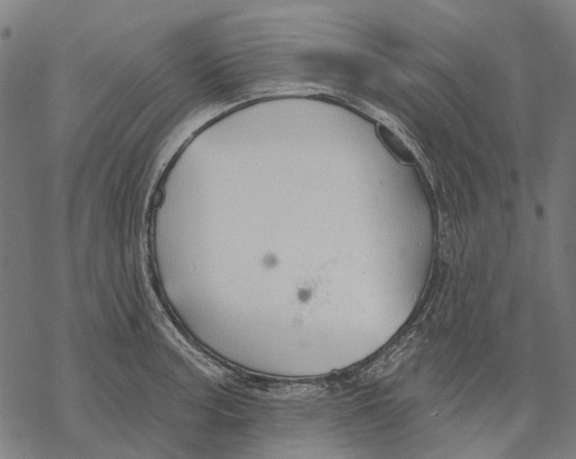 X0000068841187200605261633