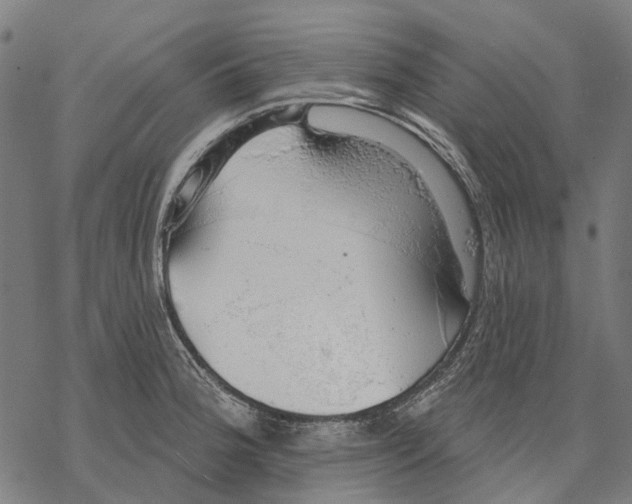 X0000068841188200605261633