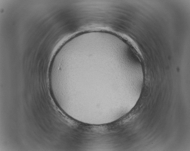 X0000068841191200605261633