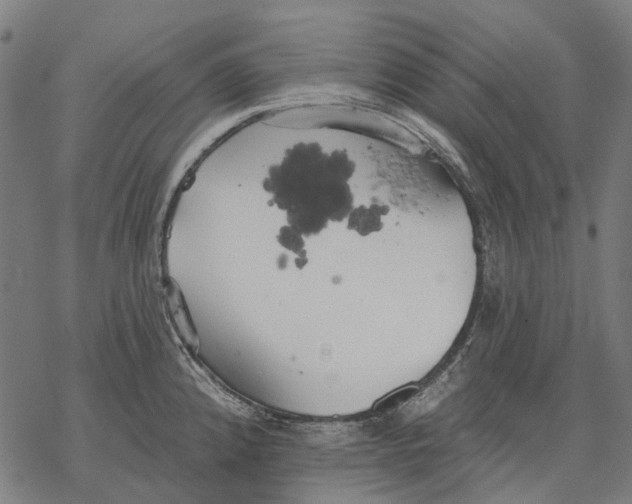 X0000068841192200605261633