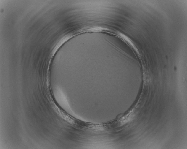 X0000068841194200605261633