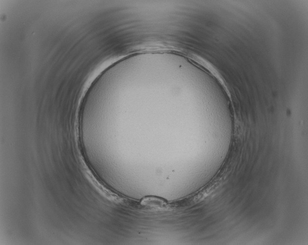 X0000068841195200605261633