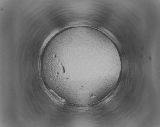 X0000068841196200605261633