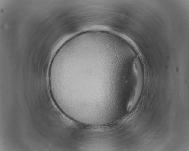 X0000068841199200605261633