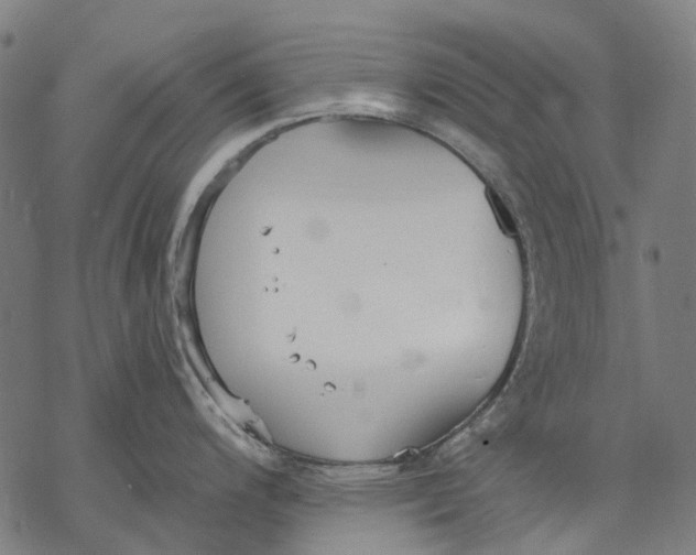 X0000068841200200605261632