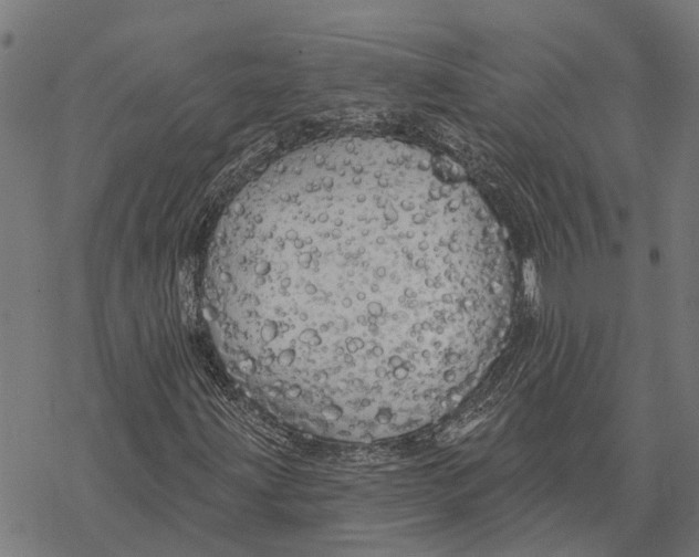 X0000068841203200605261632