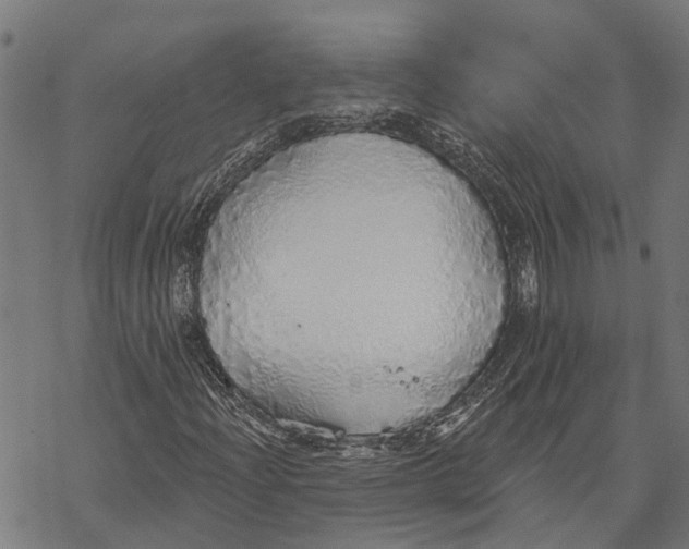 X0000068841204200605261632