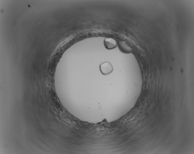 X0000068841207200605261632