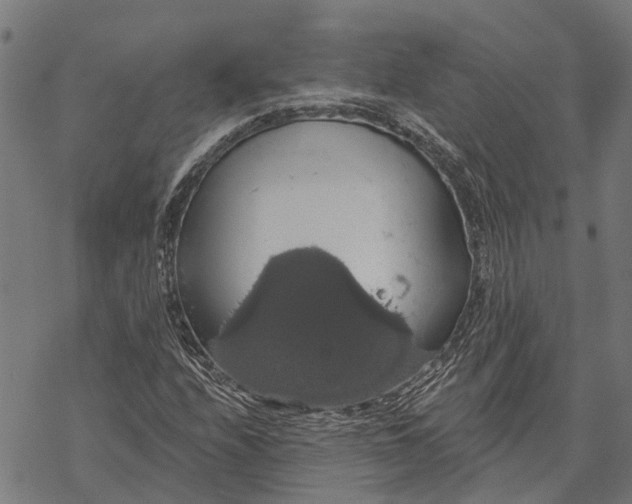 X0000068841208200605261632