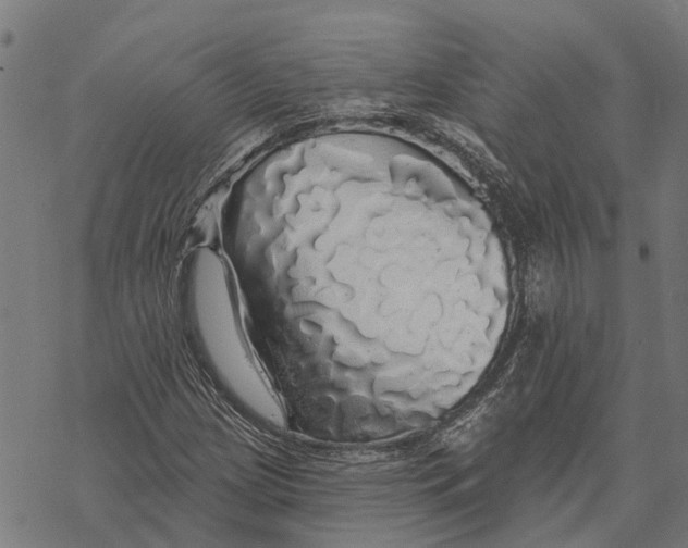 X0000068841209200605261632