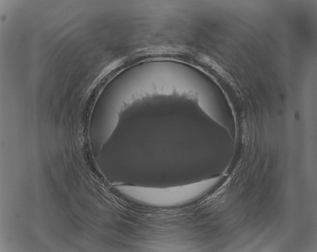 X0000068841213200605261632