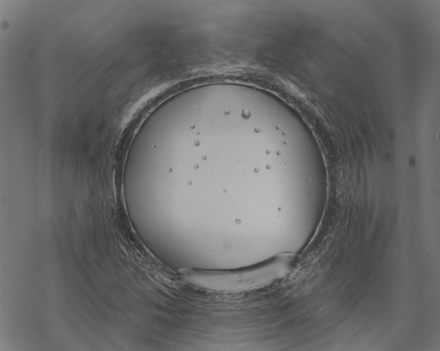 X0000068841214200605261632