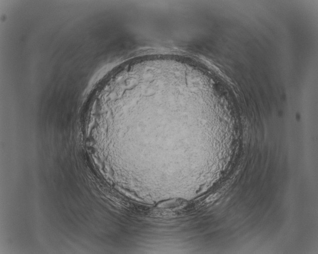 X0000068841215200605261632