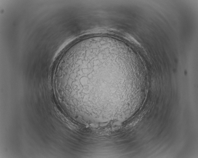 X0000068841216200605261632