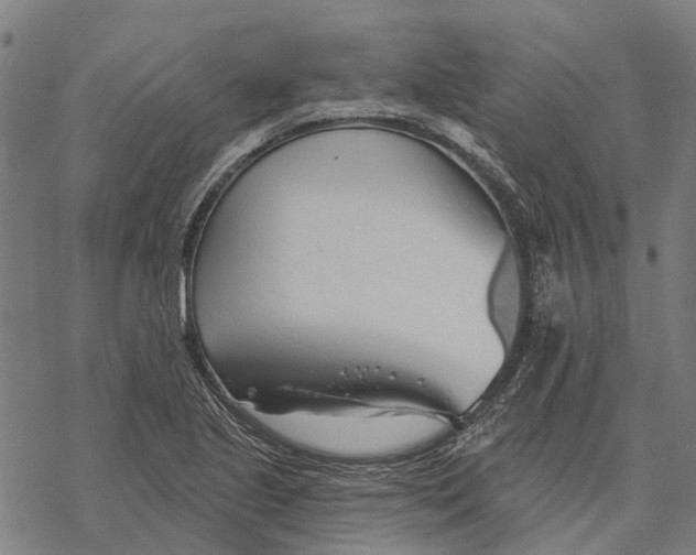 X0000068841221200605261632