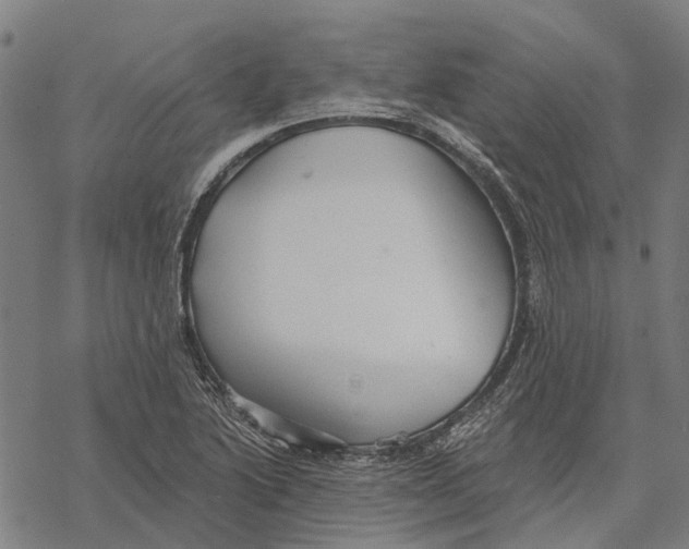 X0000068841222200605261632