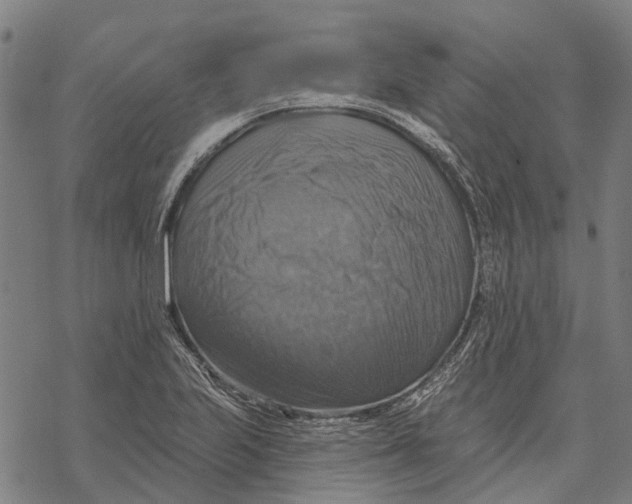 X0000068841223200605261632