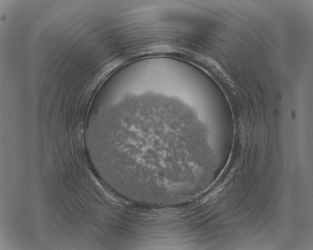 X0000068841225200605261632