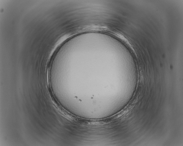 X0000068841227200605261632