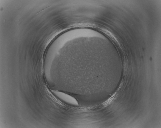 X0000068841228200605261632