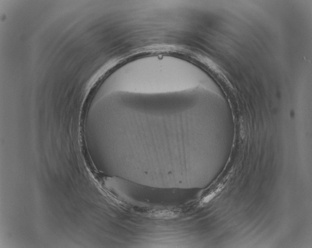 X0000068841229200605261632