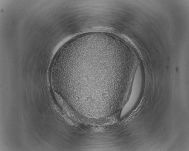 X0000068841230200605261632