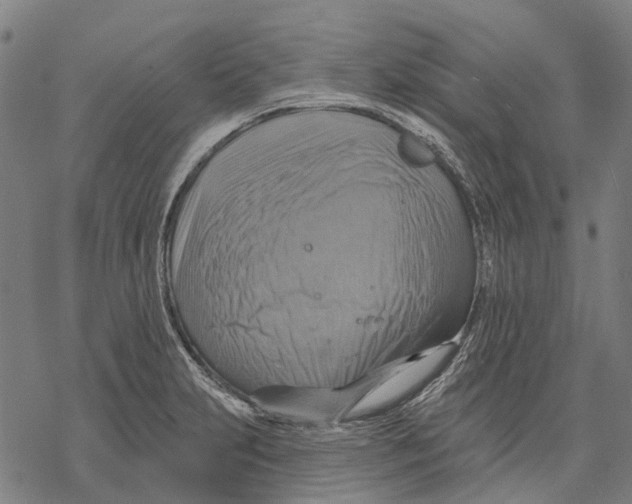 X0000068841231200605261632