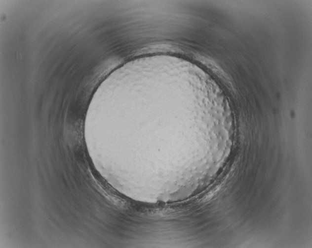 X0000068841233200605261632