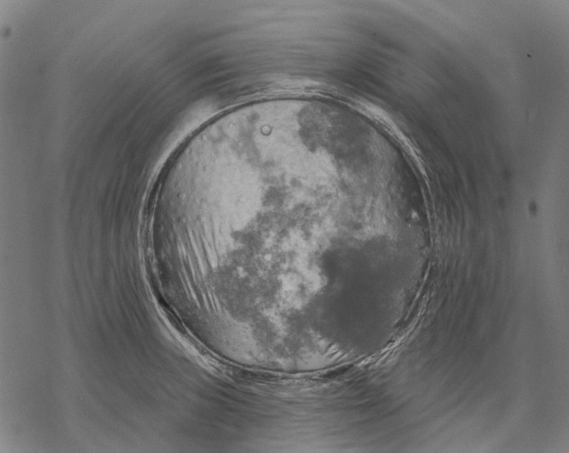 X0000068841235200605261632