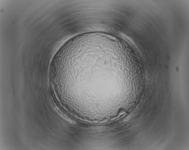 X0000068841236200605261632