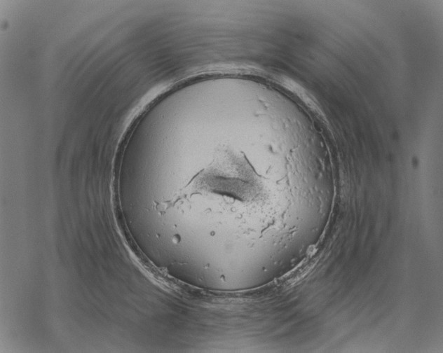 X0000068841237200605261632