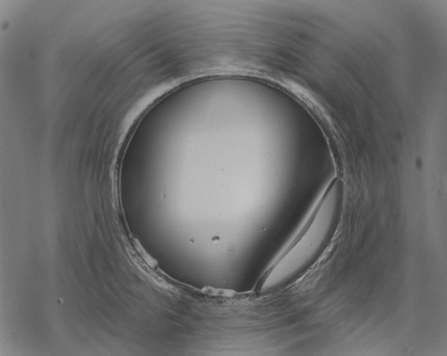 X0000068841238200605261632