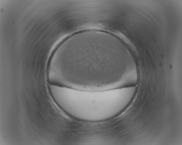 X0000068841240200605261632