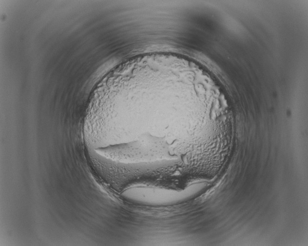 X0000068841241200605261632