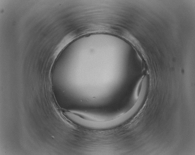 X0000068841242200605261632