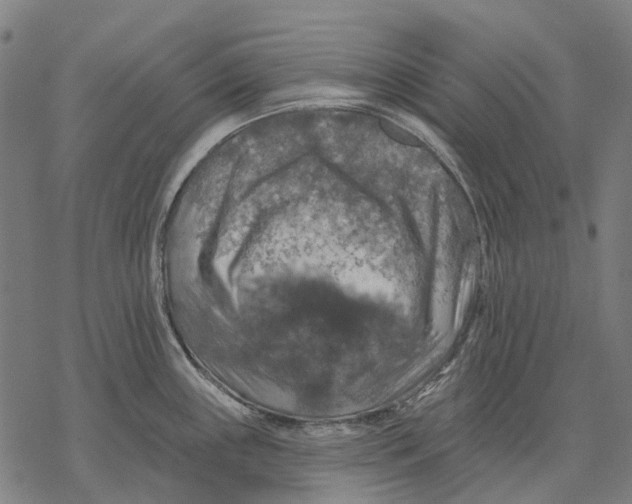 X0000068841243200605261632