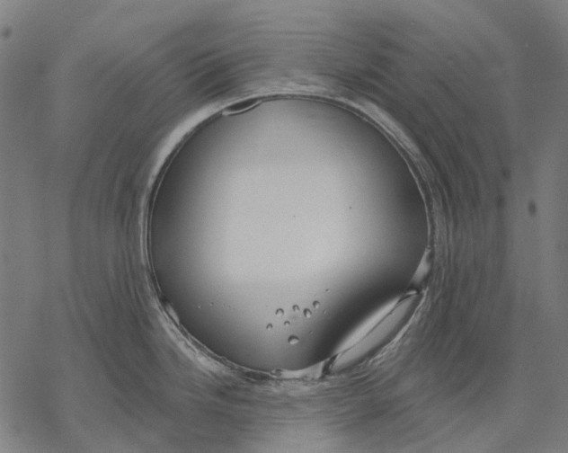 X0000068841246200605261632