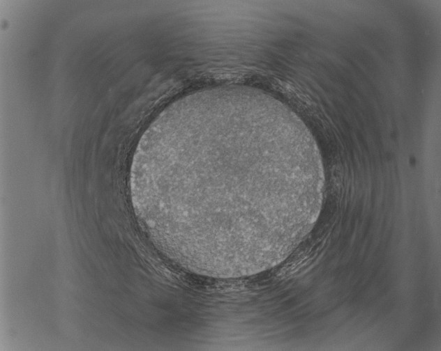 X0000068841249200605261632