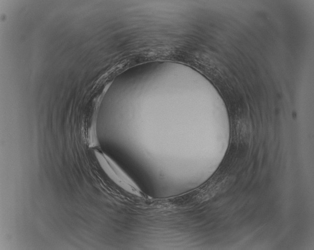 X0000068841250200605261632