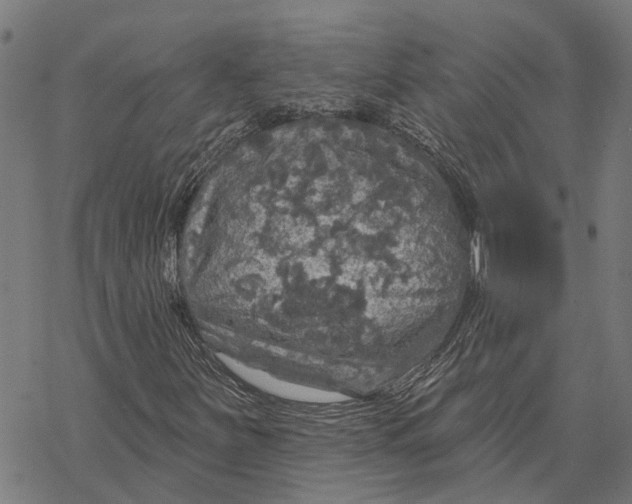 X0000068841251200605261632