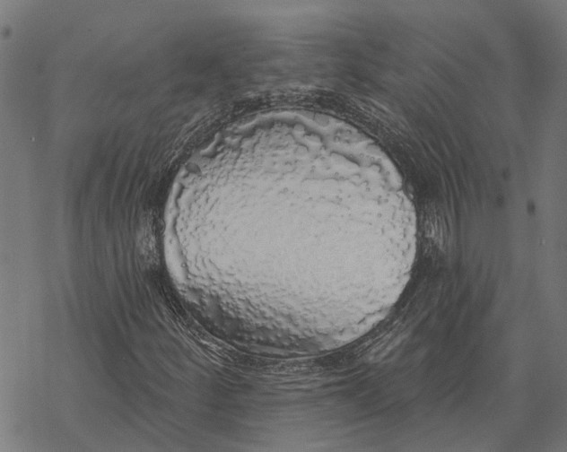 X0000068841252200605261632