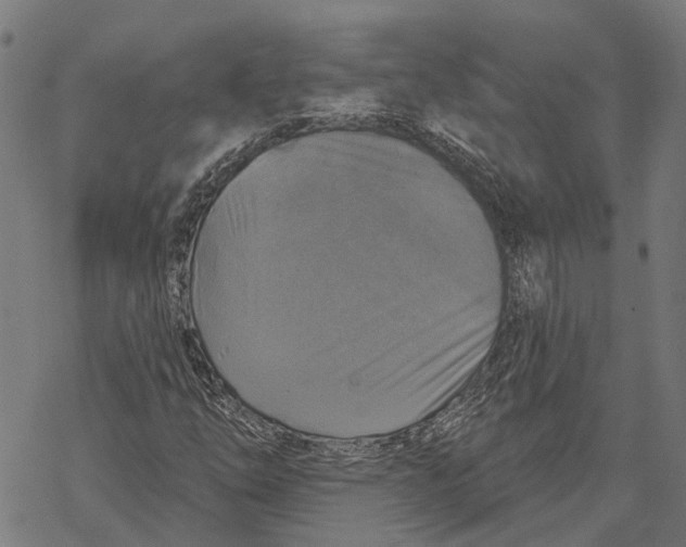 X0000068841254200605261632